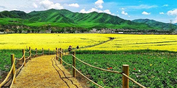 践行富民兴陇使命奏响文旅发展强音甘肃寻找乡村旅游高质量发展的金