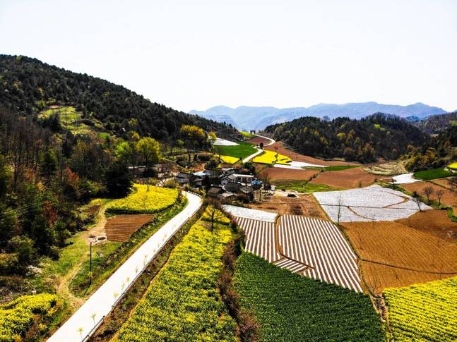 徽县大河店镇建好四好农村路绘就乡村振兴梦