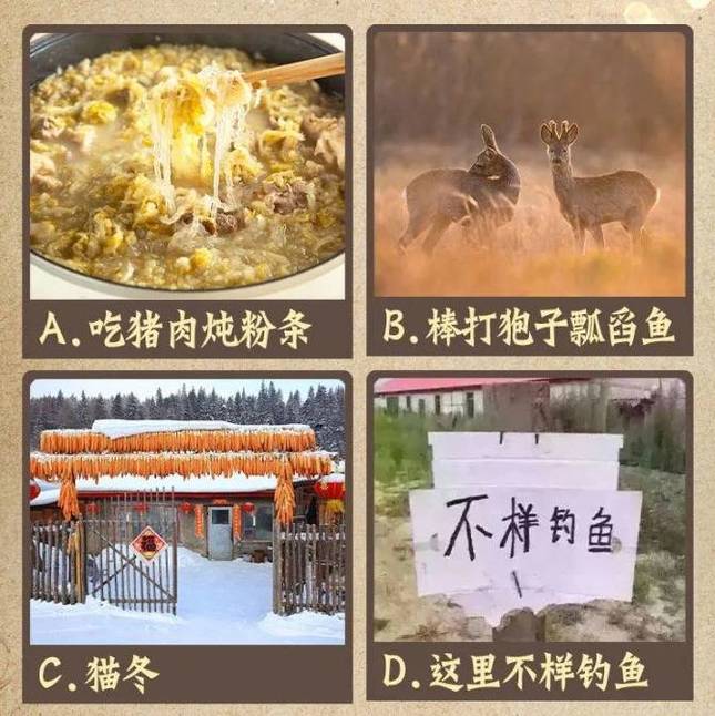 除了大熊猫,这个资源也很珍贵!