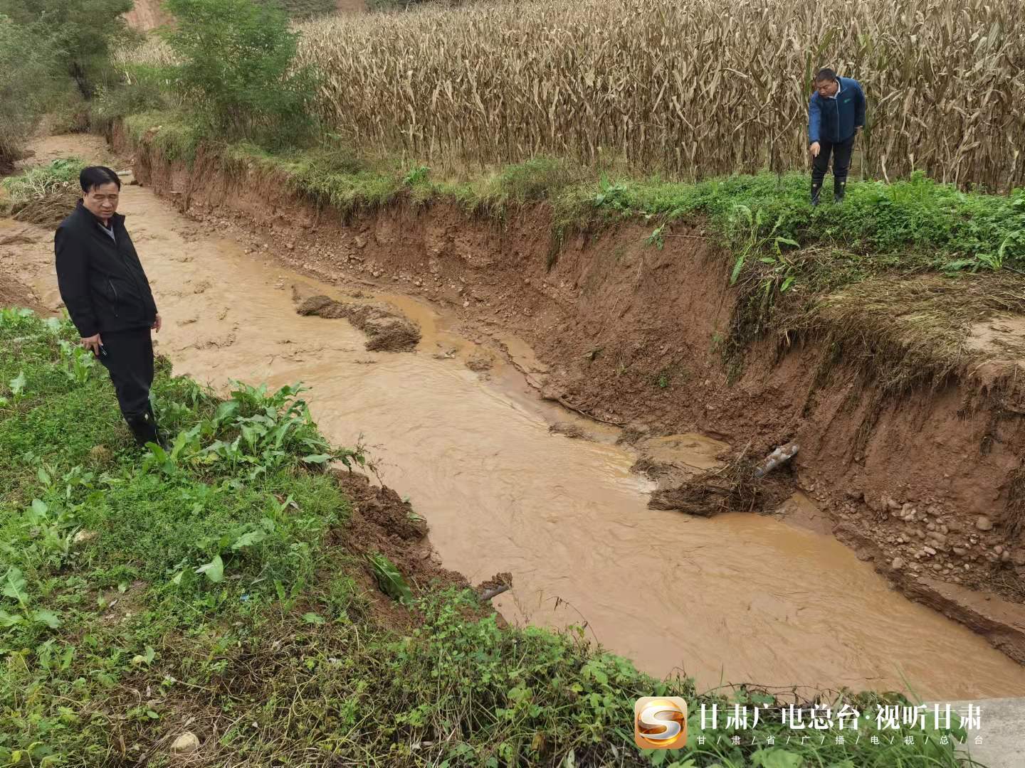 灵台县多措并举有效应对特大暴雨灾害