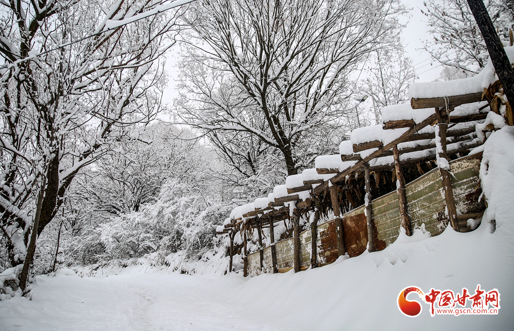 甘肃农村雪景图片图片